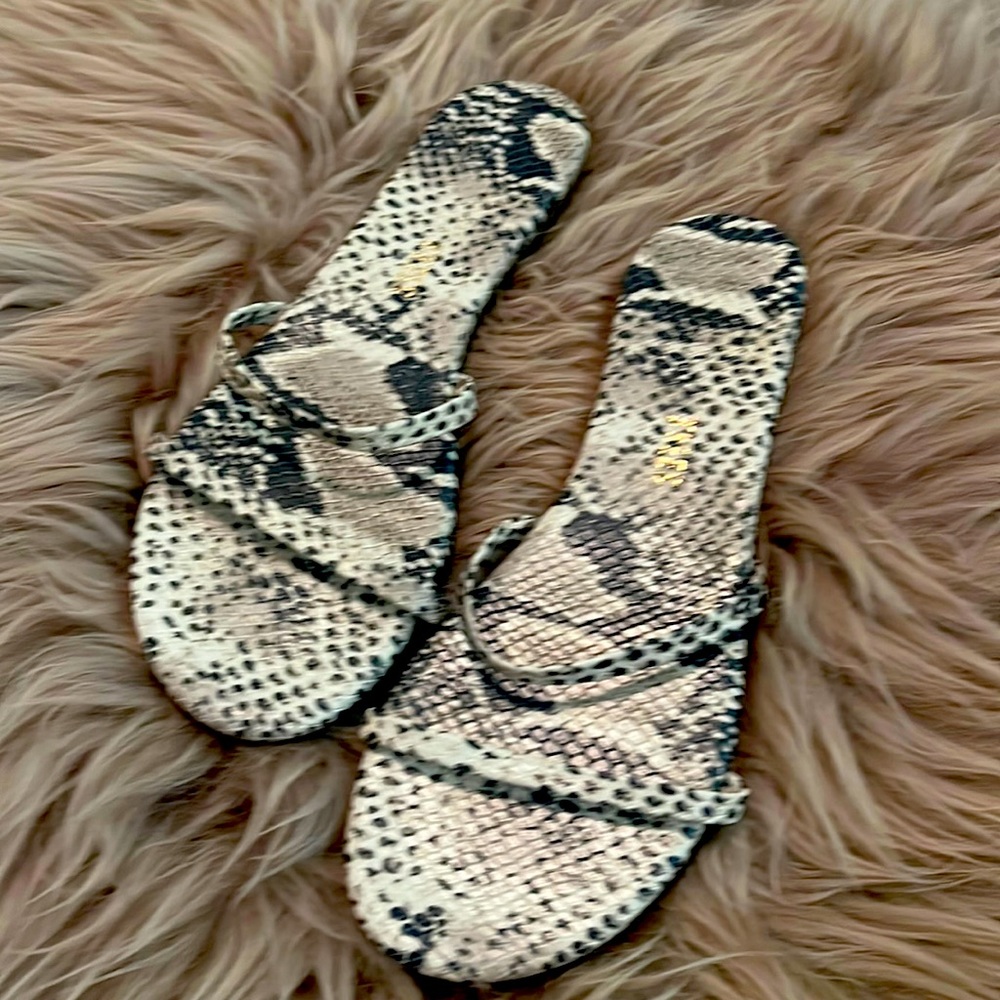 TKEES Gemma Exotic Sandsnake, Sz 8